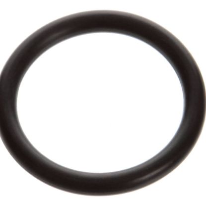 Picture of Grindmaster Cecilware O Ring-valve Plug-frysaver Part# 20130