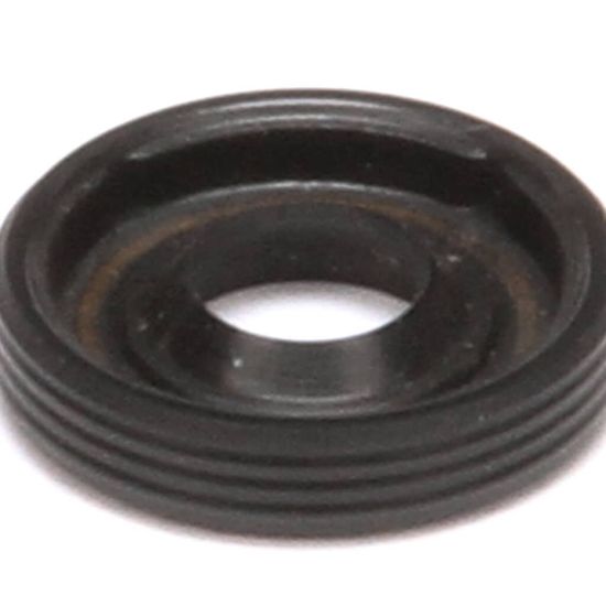 Picture of Grindmaster Cecilware Seal .250X.618x.125 Lip Part# 61459