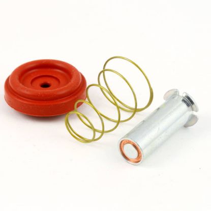 Picture of Grindmaster Cecilware Dispense Valve Repairkit For T Part# A537-044