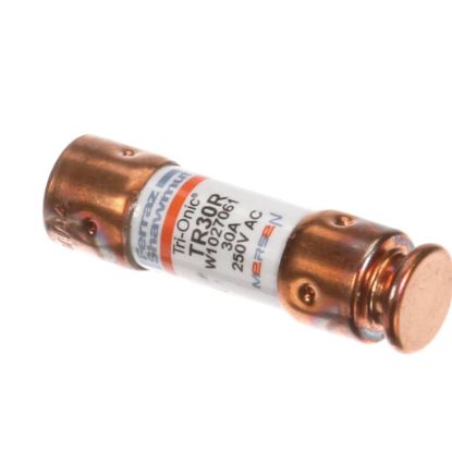 Picture of Grindmaster Cecilware Fuse 30 Amp 250V (M150)-fs, Ef Part# CA36A