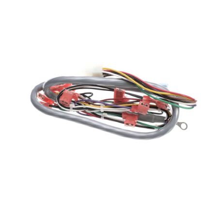 Picture of Grindmaster Cecilware Harness - Gb1/2/3 Door Part# CF19AL