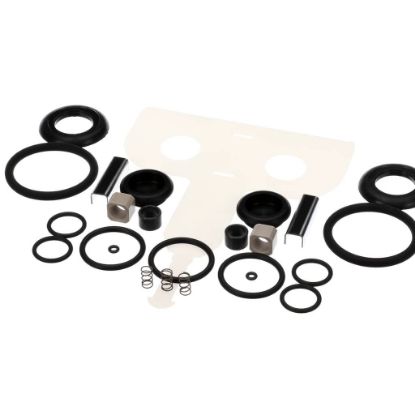 Picture of Grindmaster Cecilware Dca Group Rebuild Kit Part# DV-1870