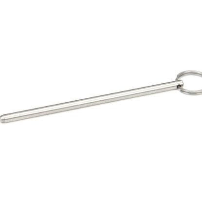 Picture of Grindmaster Cecilware Fas-pin,.250 X 5.0, T-303/316 Part# W0611728