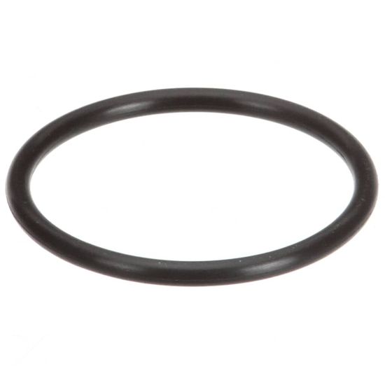 Picture of Groen O-ring For Pump Seal Part# 133711