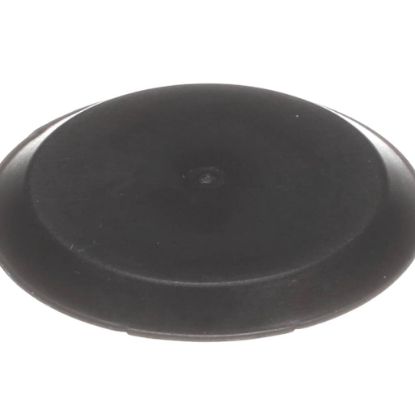 Picture of Groen Plug 1-1/4 Hole Braisin G Pan Part# 147310