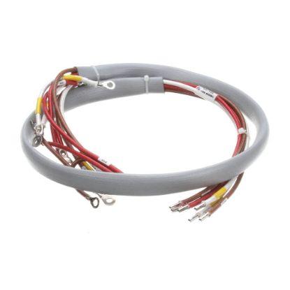 Picture of Groen Wiring Harness Load Ee- 40 Part# 148506