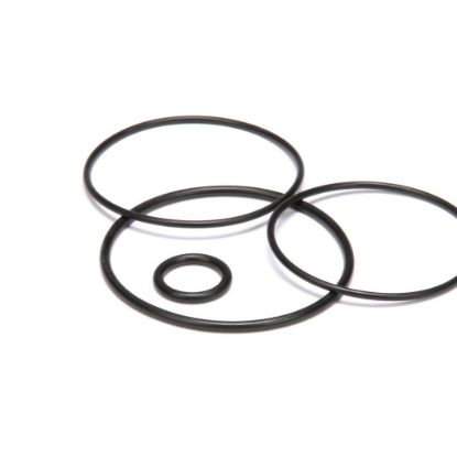 Picture of Groen Kit O Ring Replacement Part# N56697