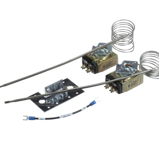 Picture of Groen Thermostat With Plate Part# Z080799