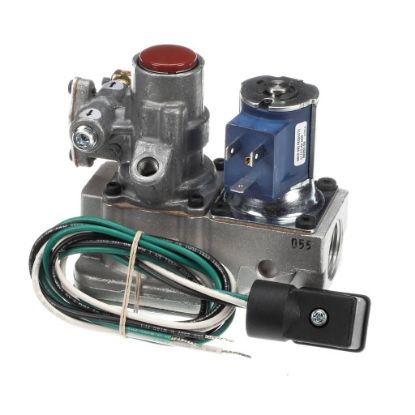 Picture of Groen Valve 1/2-Inch X 3/4-Inch 120V Part# Z097610