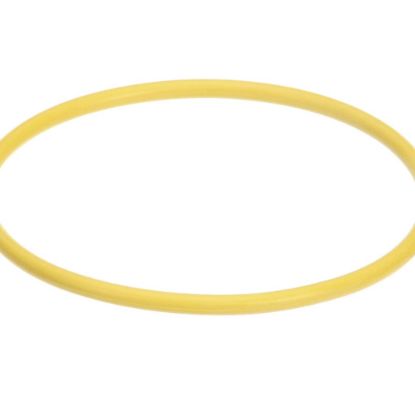 Picture of Hatco Watertreat Rep O-ring Scaltrol Part# 03.05.061B.00