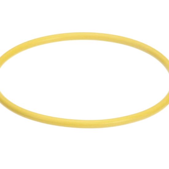 Picture of Hatco Watertreat Rep O-ring Scaltrol Part# 03.05.061B.00