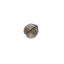 Picture of Hatco Spc Ss 8-32X3/16 Shoulder Bolt Part# 05.04.371.00