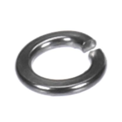 Picture of Hatco Wash Ss #10 Helical Lockwasher Part# 05.11.064.00