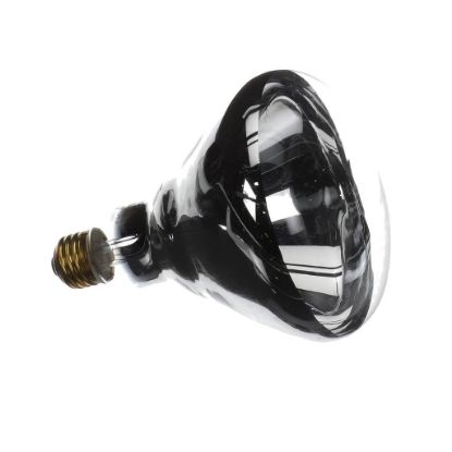Picture of Hatco Lamp Bulb 250 Watt Clear Uncoated Part# WHITE-UCTD-120