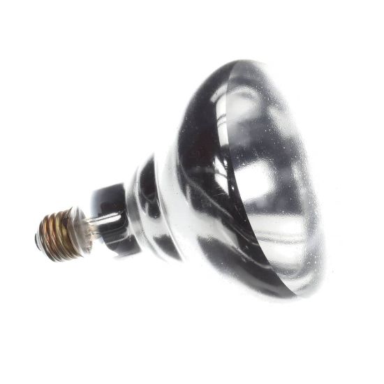 Picture of Hatco Infra-red Lamp (Clear) 125V 250W Part# WHITE-CTD-120