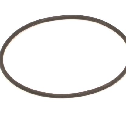 Picture of Henny Penny Pump Gasket Part# 162498