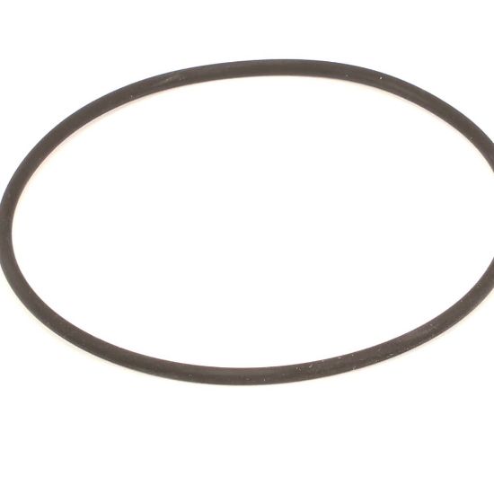 Picture of Henny Penny Pump Gasket Part# 162498