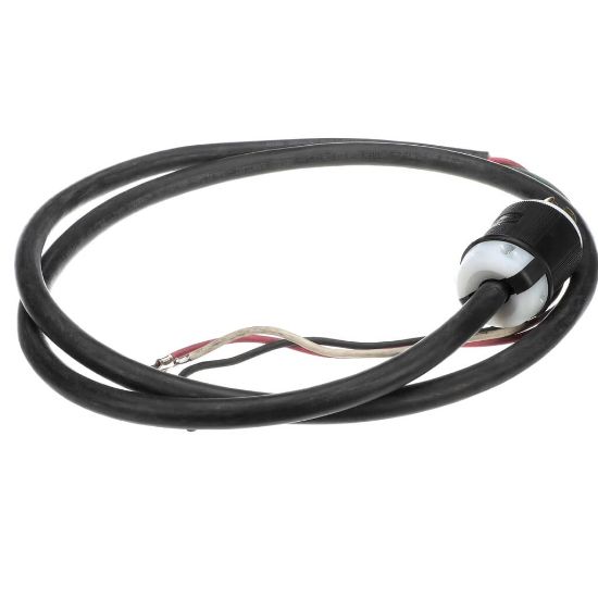 Picture of Henny Penny Assembly - 12Ga Cord Cfa Part# 83889