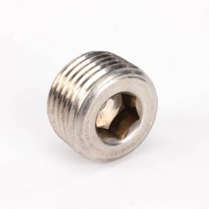 Picture of Henny Penny Plug Pipe 1/2 Hex Soc Ss Part# FP01-004