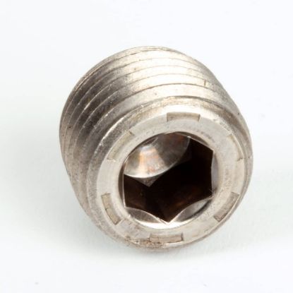 Picture of Henny Penny Plug 1/4-18 Hex Level Seal Part# FP01-020