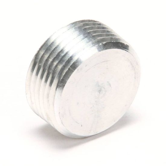 Picture of Henny Penny Plug Pipe 1 Inch A Part# FP01-021