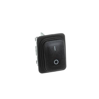 Picture of Henny Penny Switch-main, 250V/16a 2 Pol Part# MM10020463