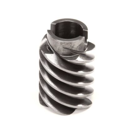 Picture of Hobart Worm Part# 00-024298