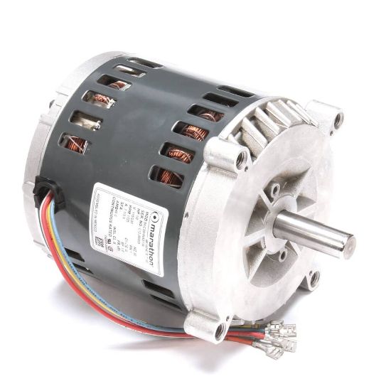 Picture of Hobart 60Hz 1 Ph 115V Motor Part# 00-438846-00001