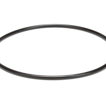 Picture of Hobart O Ring,suction Flange Part# 00-476738-00009