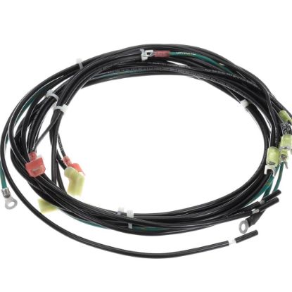 Picture of Hobart Harnessmain Power Part# 00-916406-00001