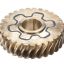 Picture of Hobart Gear, Insulated Worm Part# 00-917797-00002