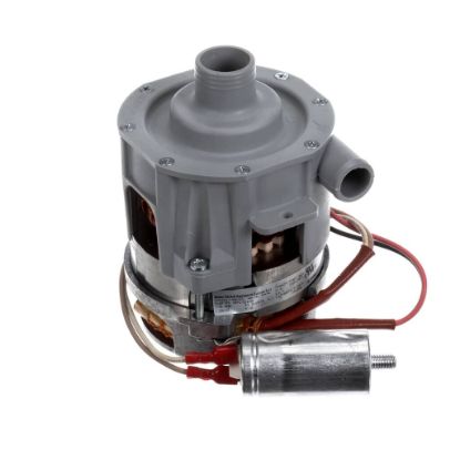 Picture of Hobart Rinse Pump, 150W,230v/60-in Us Part# 00-975139