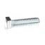Picture of Hobart Screw Part# SC-062-22