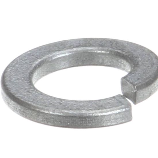 Picture of Hobart Lock Washer - Knife Shaft Part# WL-004-17