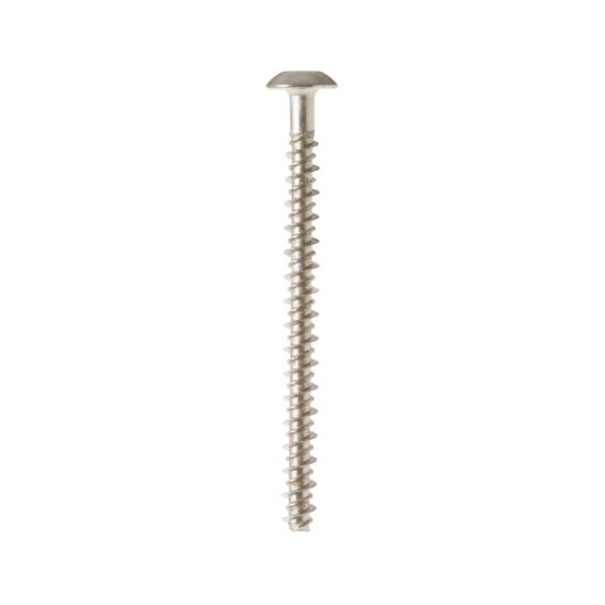 Picture of GE Scr 10-16 Pl Pnt 2.5 S Part# WB01T10067