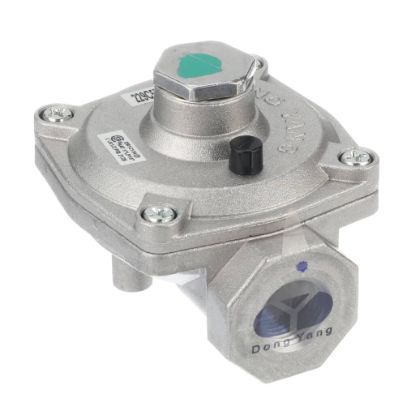 Picture of GE Regulator Convert Press Part# WB19T10089