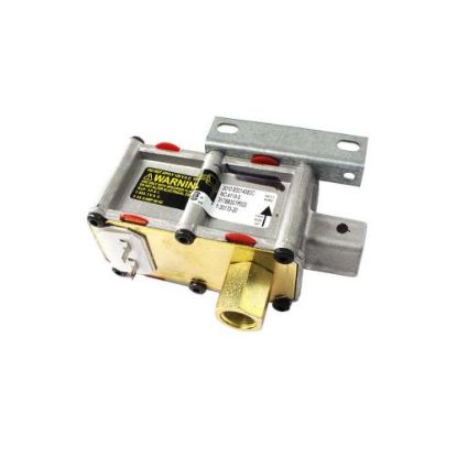 Picture of GE Safety Valve Dual Part# WB21X28835