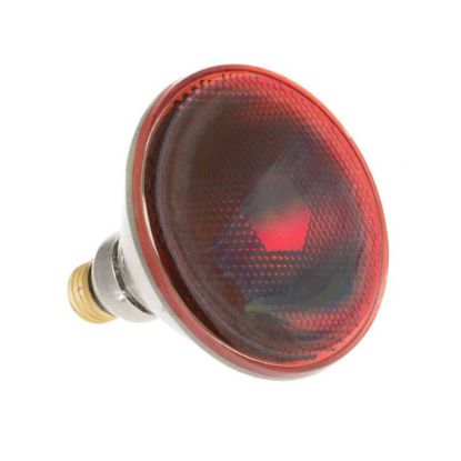 Picture of GE Infrared Lamp Part# WB25X25901