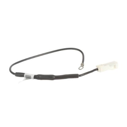 Picture of GE Fuse Part# WE01X27782