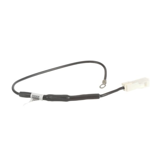 Picture of GE Fuse Part# WE01X27782