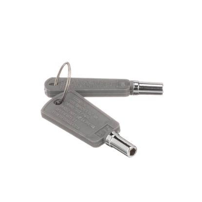 Picture of GE Key Set Part# WR01X29793