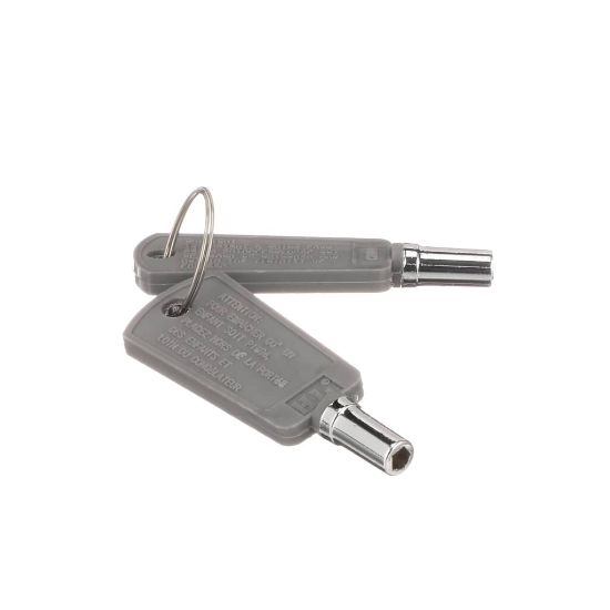 Picture of GE Key Set Part# WR01X29793
