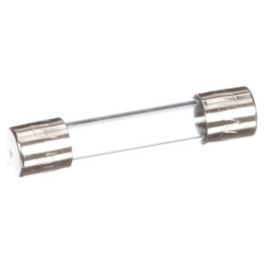 Picture of Hoshizaki Fuse Part# 420468-02