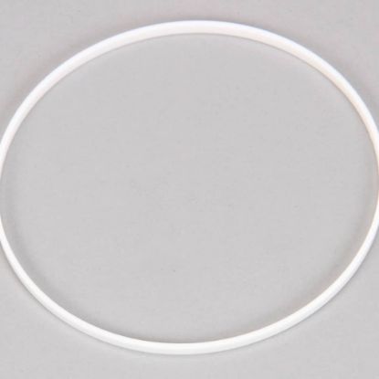 Picture of Hoshizaki Ring Part# 431736-01