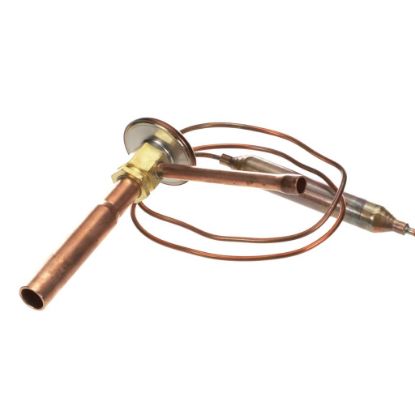 Picture of Hoshizaki Expansion Valve Part# 453008-01