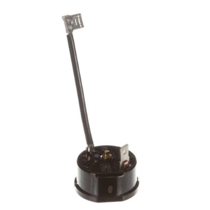 Picture of Hoshizaki Overload Protector ( Part# 4A2634-02