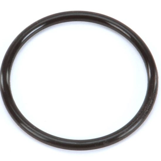 Picture of Hoshizaki Jis G40 O-ring Part# 4A4755-01