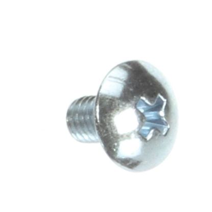 Picture of Hoshizaki Screw Part# 4A5230-01