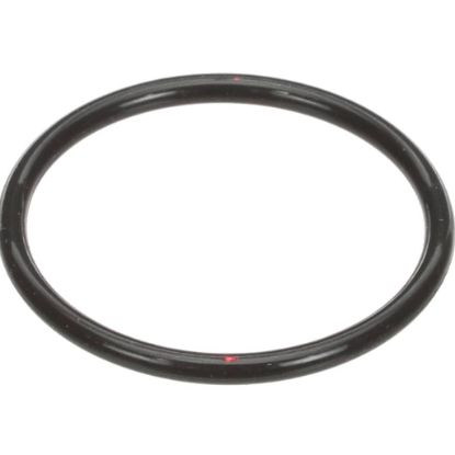 Picture of Hoshizaki O-ring Part# 7618-G040
