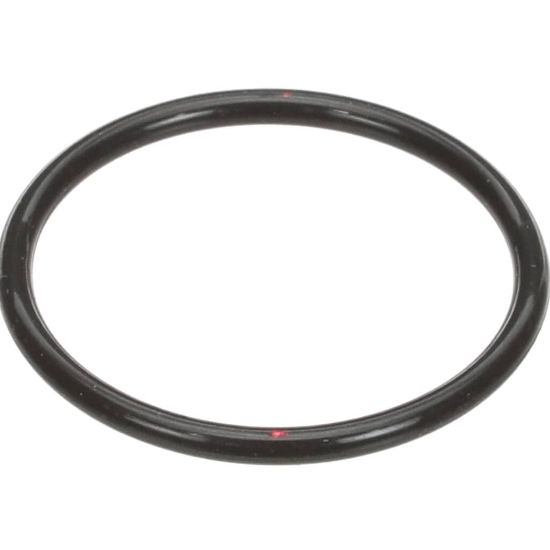 Picture of Hoshizaki O-ring Part# 7618-G040